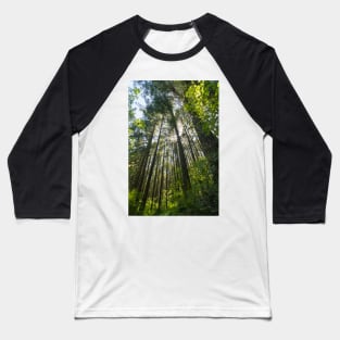 Salal Trail - Green Timbers Urban Forest Baseball T-Shirt